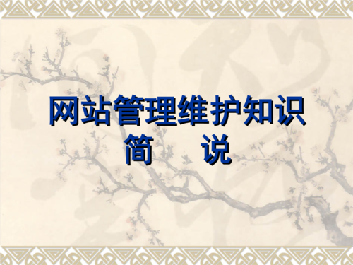 网站管理维护知识简说 从日常巡检到安全防护的完整指南